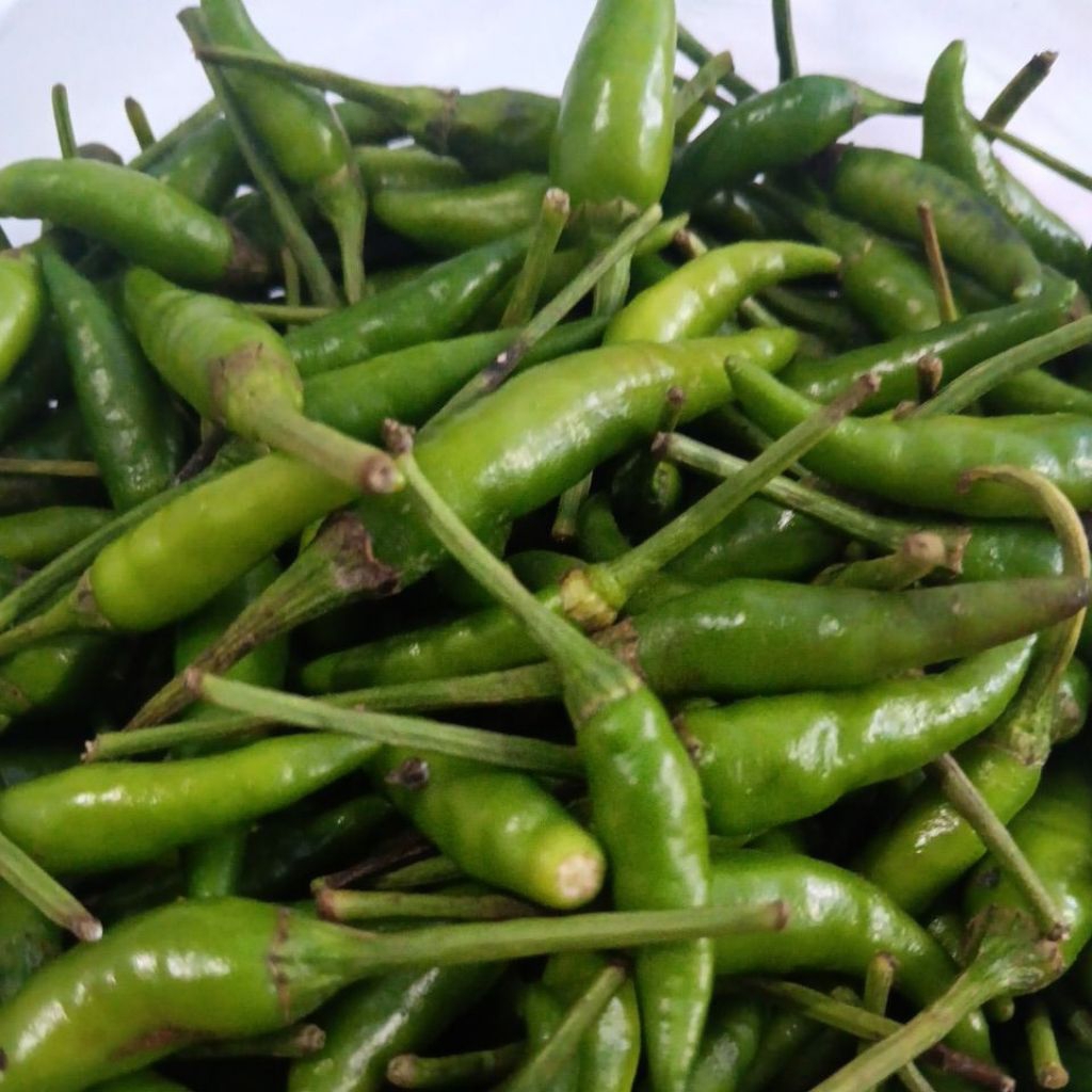 cabe lalap hijau malangan