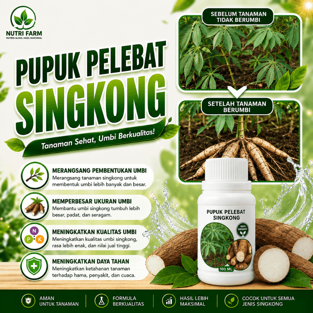 PUPUK PELEBAT SINGKONG 100ML Pupuk Pelebat, Perangsang Akar, pemacu pertumbuhan COD