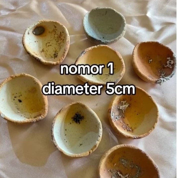kowi padang [diameter 5cm],[isi 100pcs]