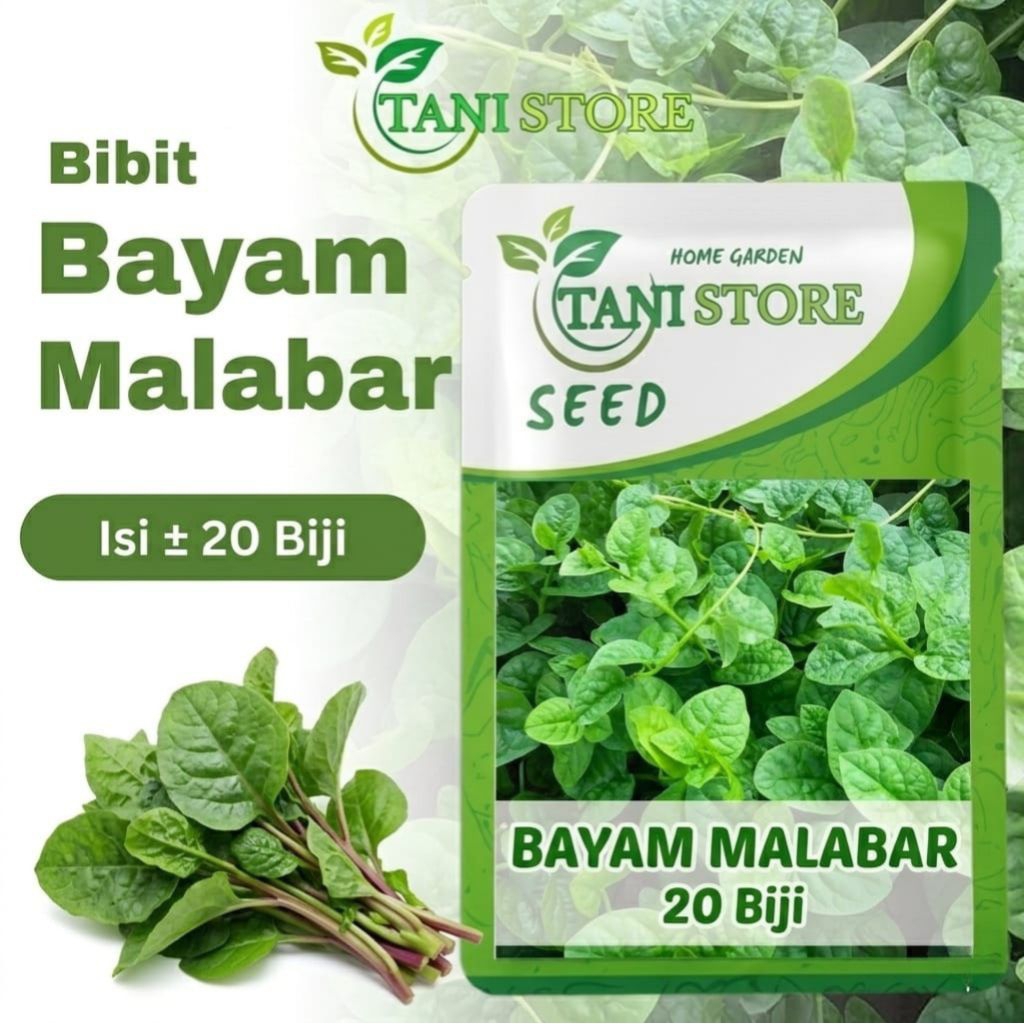 bibit benih unggulan bayam malabar hijau berkualitas ±20 seed_bayam merambat_bayam gindula/gandula