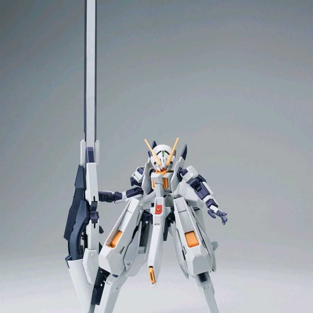 HG 1/144 TR-6 Woundwort by AK Model + Standbase