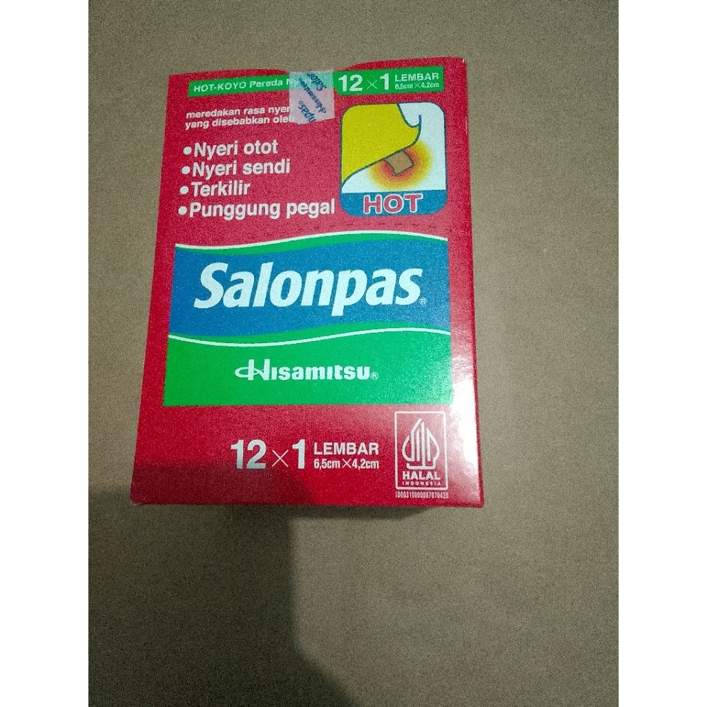 salonpas koyo hot per box
