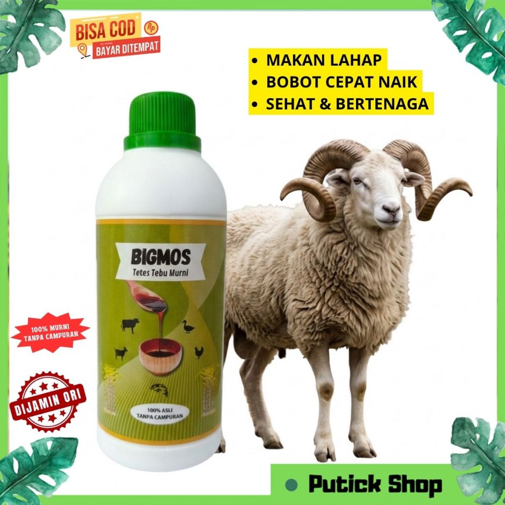PENGGEMUK KAMBING BIGMOS MOLASE TETES TEBU PENGGEMUK KAMBING DOMBA PENAMBAH NAFSU MAKAN TERNAK SAPI