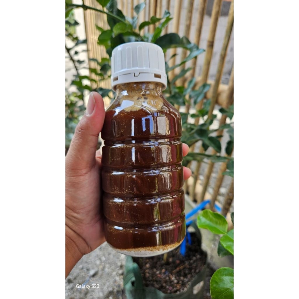NEW Larutan PCO