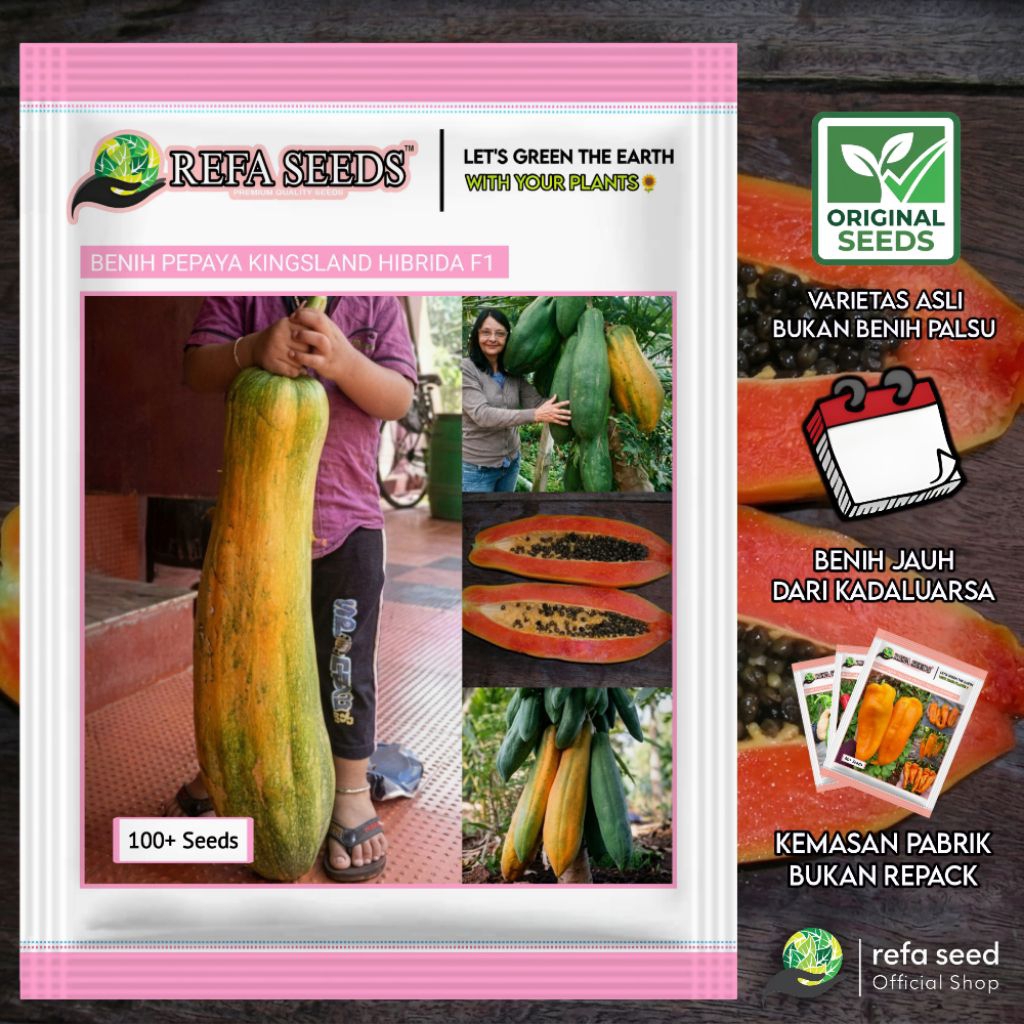 100 Biji Benih Pepaya Raksasa Kingsland F1 | Kemasan Pabrik | Pepaya Jumbo | Mudah Berbuah