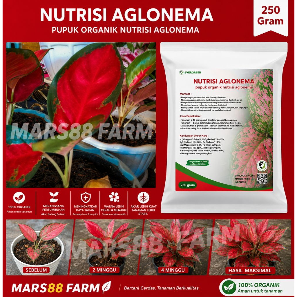 Pupuk Organik Aglonema 250 Gram - Perangsang Tunas, Pencerah Daun, Penguat Akar