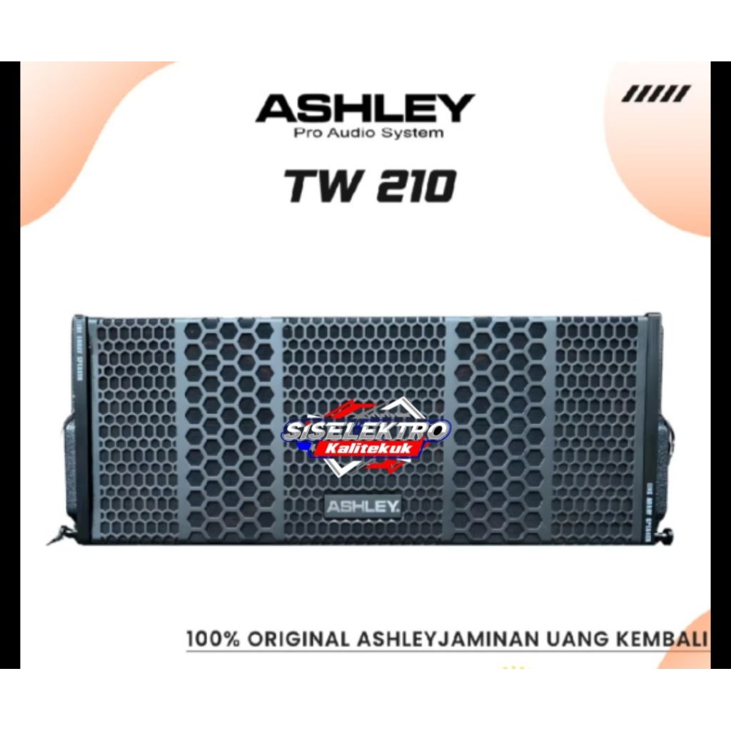speaker line array Ashley tw210la Ashley line array tw 210 la