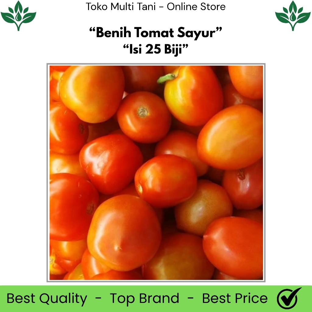 Benih Tomat Sayur Isi 25 Biji - Benih Tomat Sayur - Benih Tomat Buah - Benih Tomat Sayur F1 - Benih 