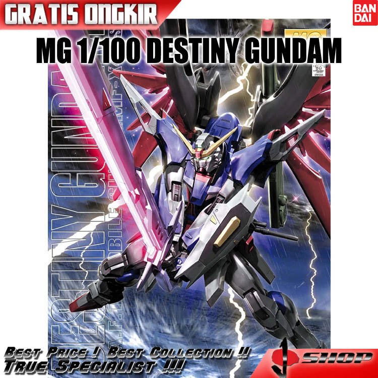 MG 1/100 - DESTINY GUNDAM