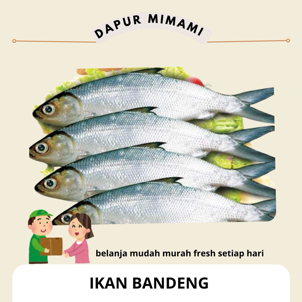 Ikan Bandeng Segar Potong / Ikan Bandeng Fresh Mentah Asli Isi/ Bahan Masak Bandeng Presto Goreng Ba
