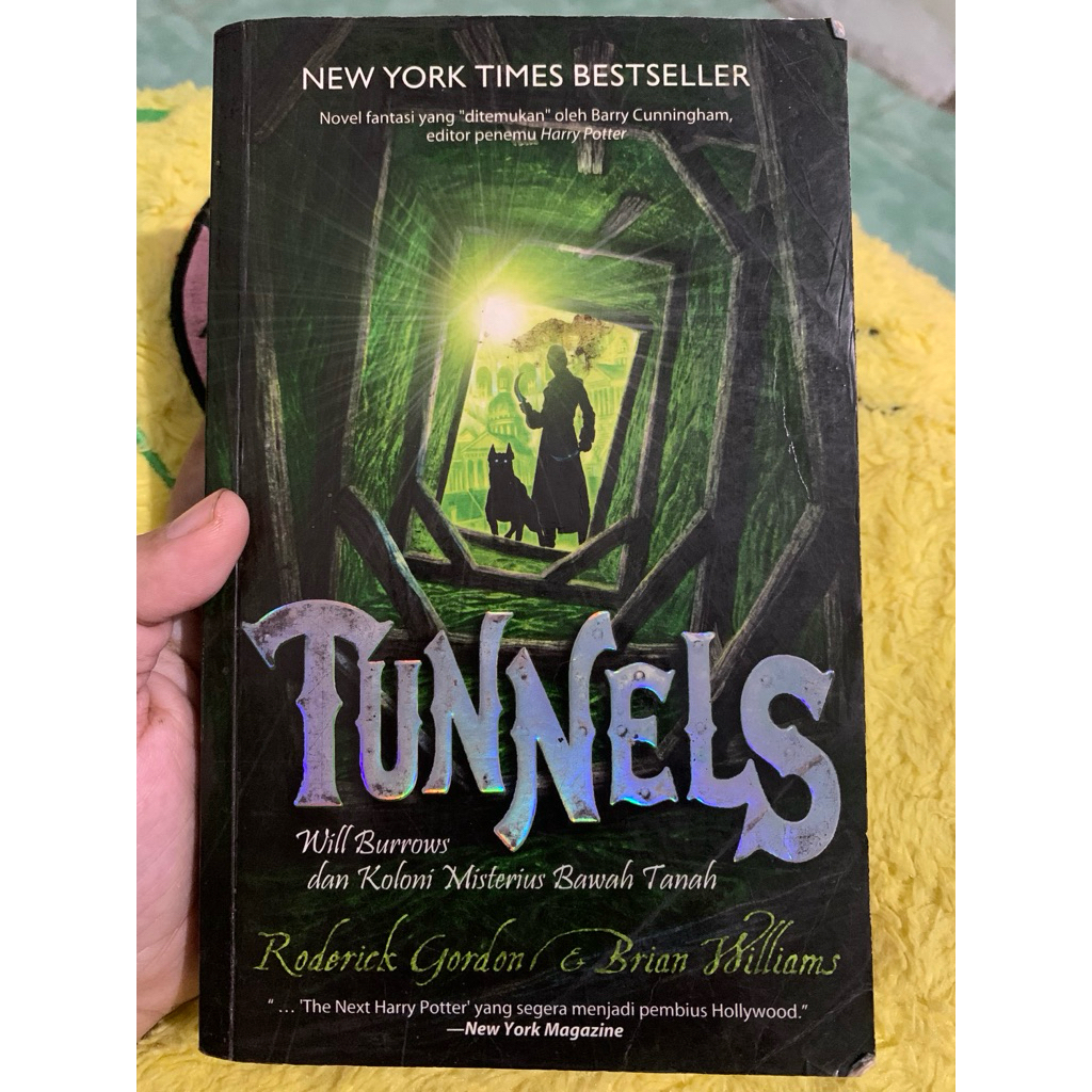 Tunnels novel