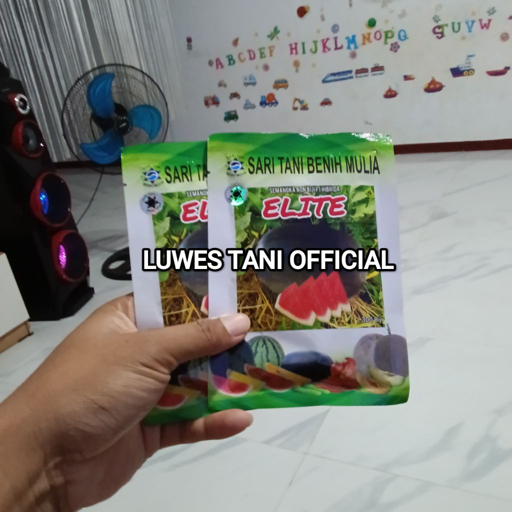 Benih Bibit Semangka Non biji Oval Lonjong, Elite F1/ Tipe buah sama : Juve, Prime BUKTIKAN (Disukai