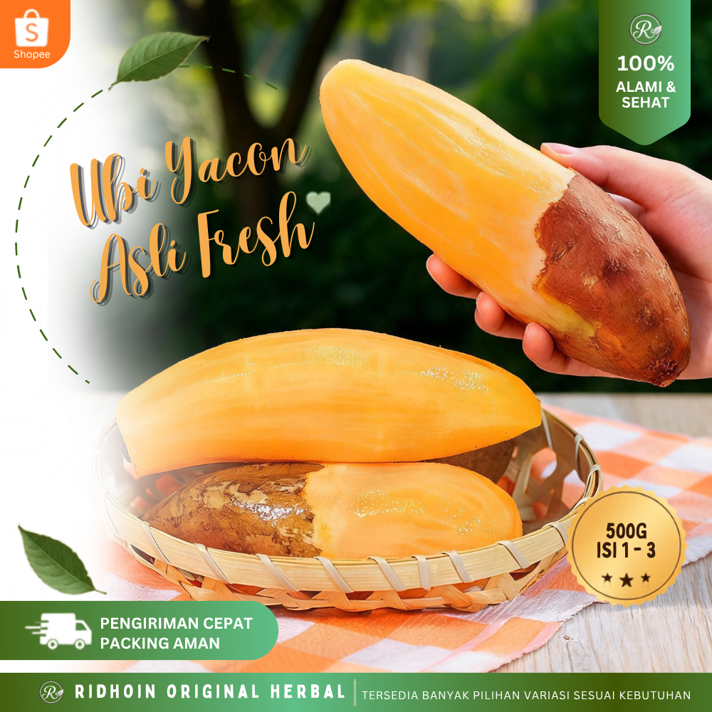 Ubi Yakon Mini Fresh Asli Wonosobo 1 kg 100% Original Termurah
