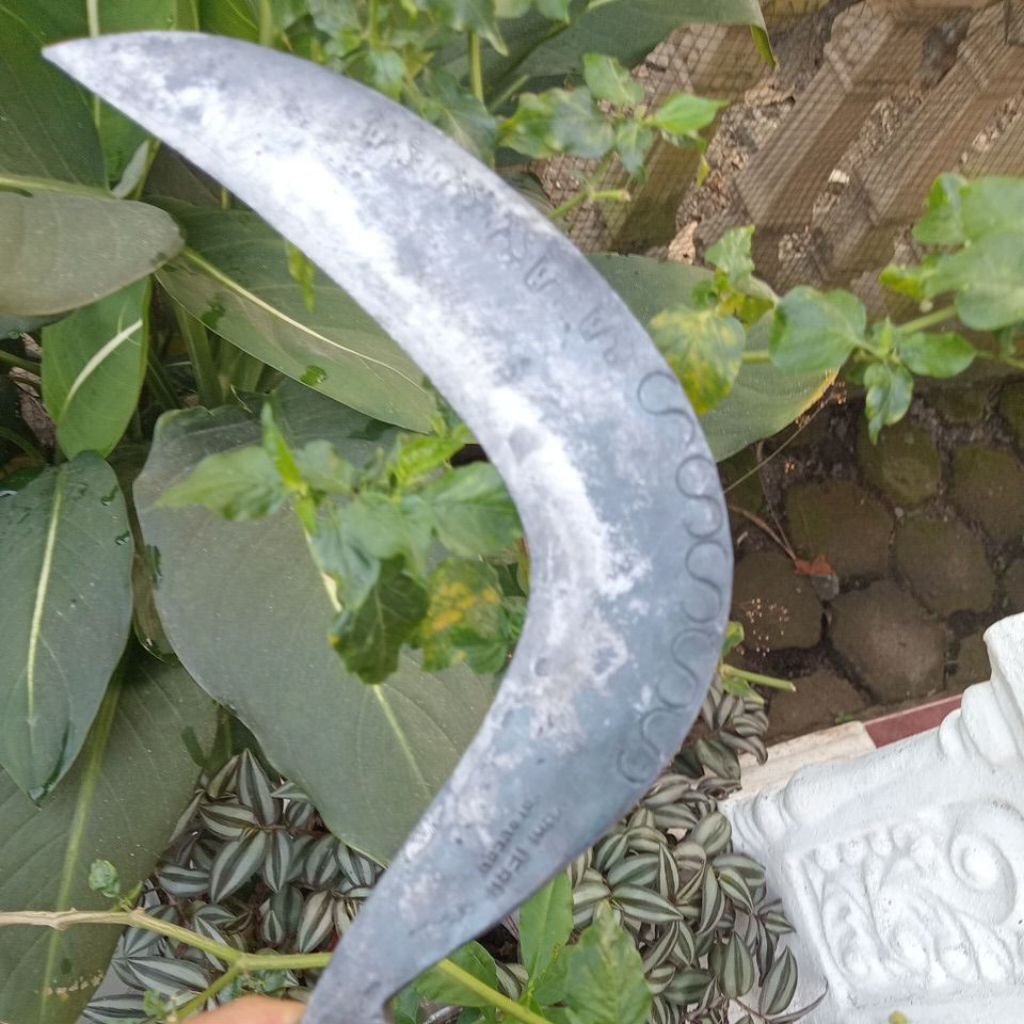 aret rumput dalangan wonosobo