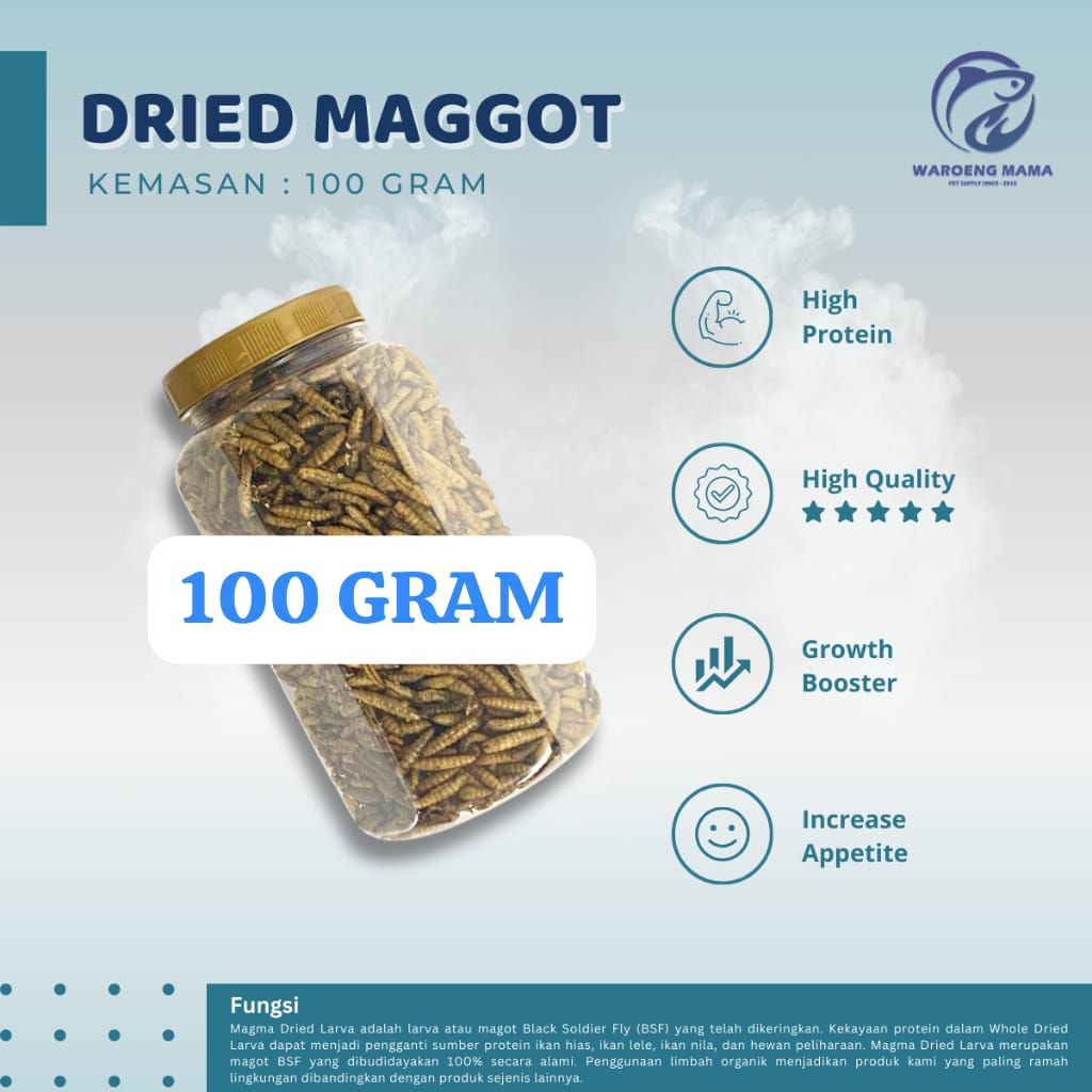 Dried Maggot / Dried Magot / Dry Maggot / Dry Maggot / Kemasan 100 gram