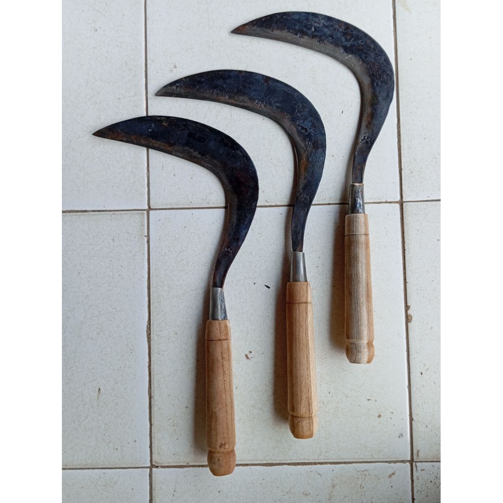 Sabit / Arit Baja Per Cap Mata