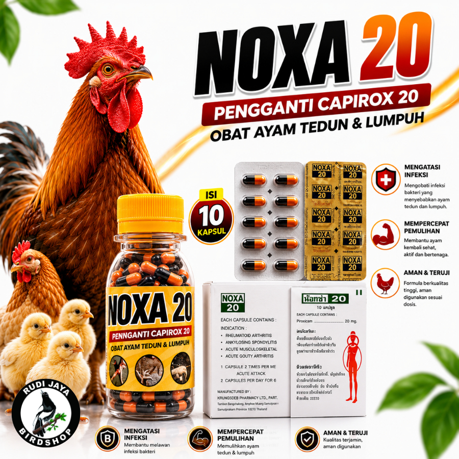 NOXA 20 NERO 20 PENGGANTI CAPIROX 20 OBAT AYAM SAKIT KAKI TURUN URAT KAKI LUMPUH BENGKAK KETEDUN