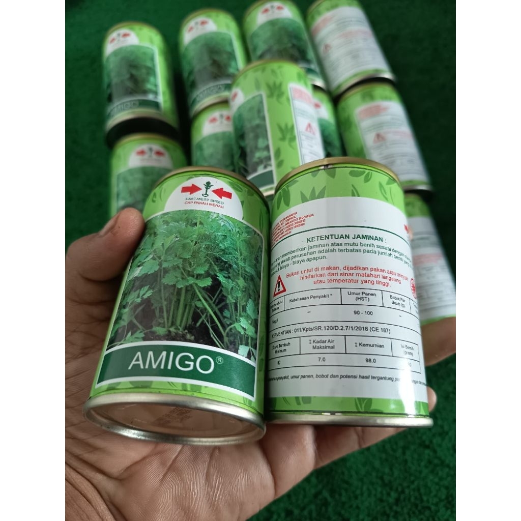 benih seledri amigo 50gr kaleng