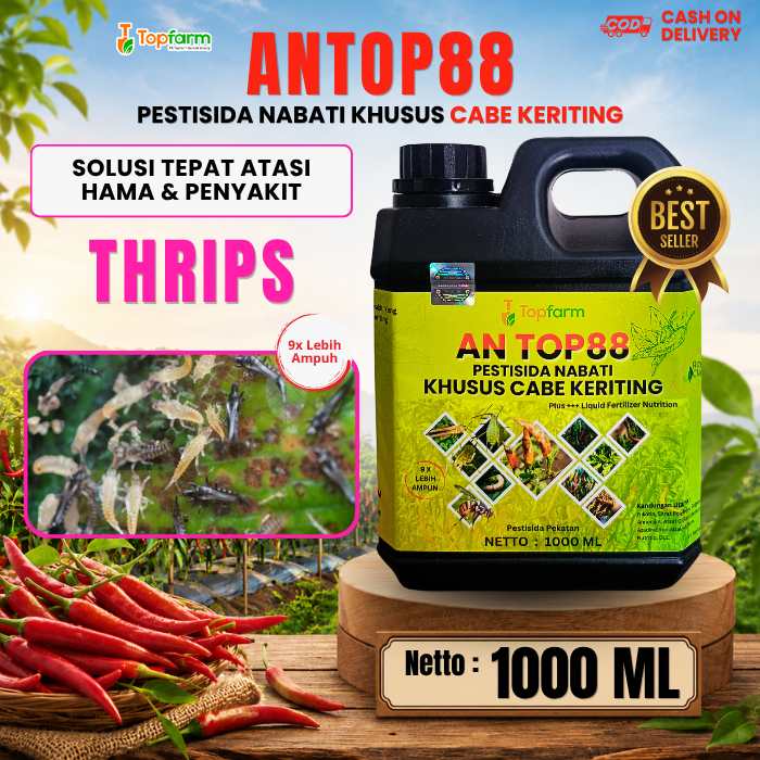 Obat Hama Thrips Cabe Merah / Pembasmi Thrips Tanaman Cabe / Obat Daun Keriting Cabe / Obat Anti Thr