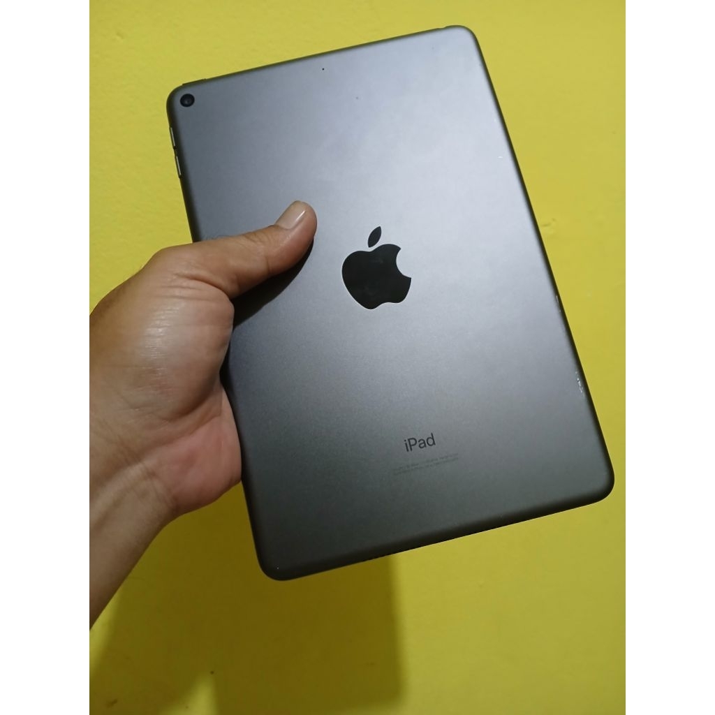 Ipad Mini 5 256gb Wifi Second