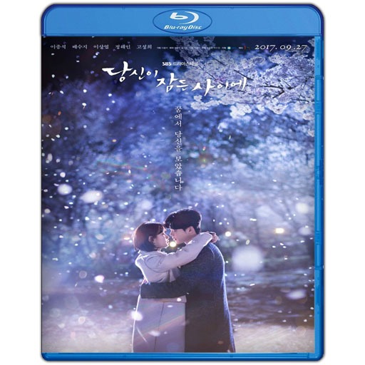 DVD While You Were Sleeping Season 1 (2017)