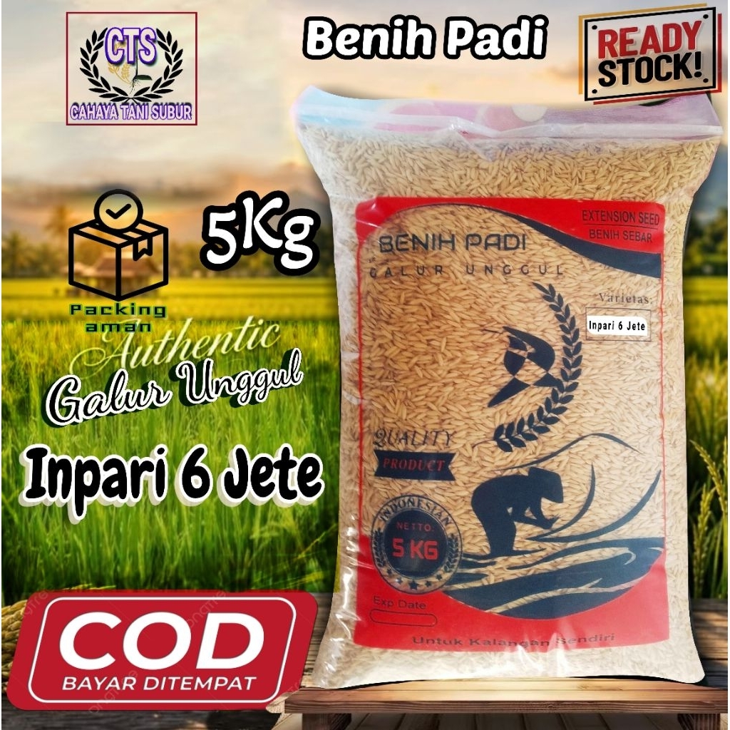 Inpari 6 Jete Benih Padi Varietas Super Unggul (5kg)