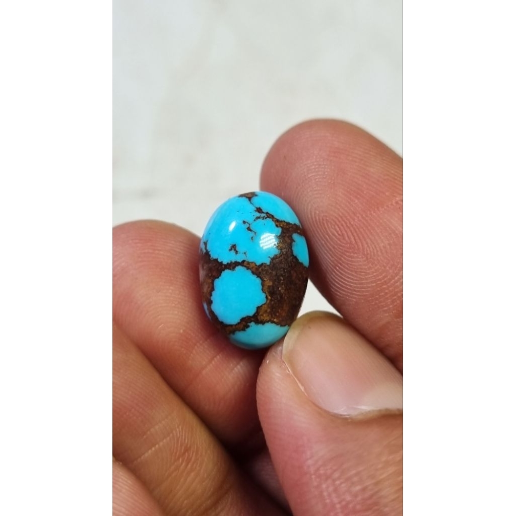 Natural pirus mesir