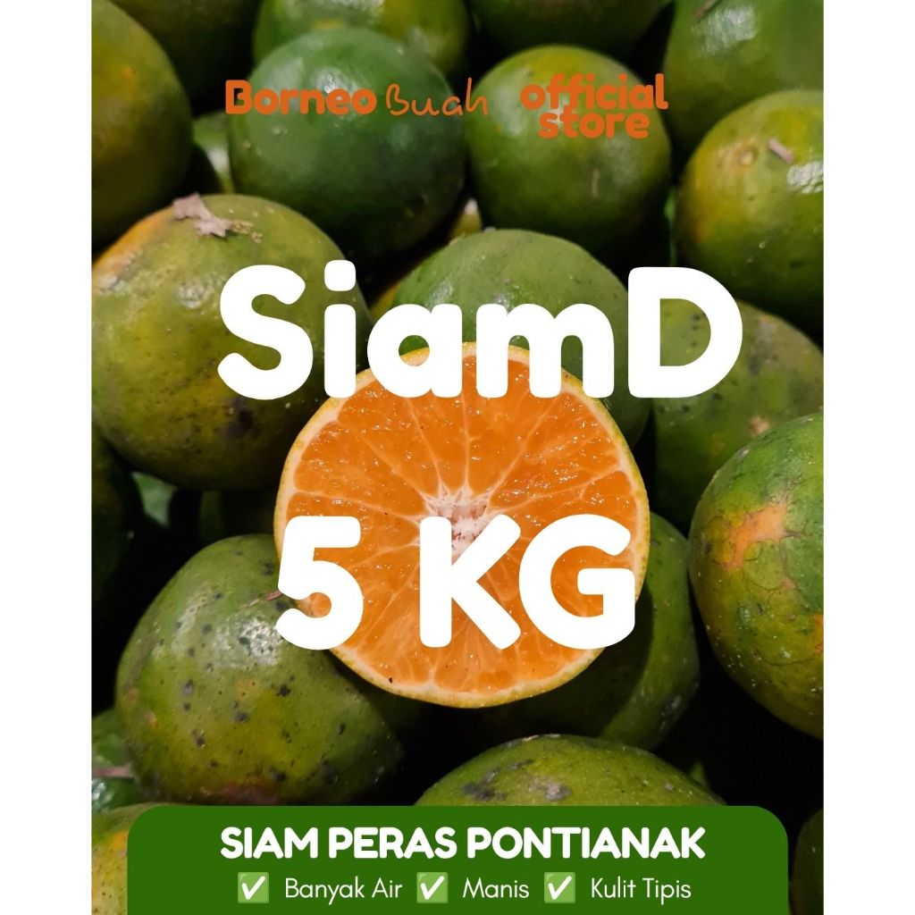 Jeruk Peras / Jeruk Siam Pontianak berukuran sedang/ Jeruk Siam Pontianak D/ Jeruk Manis dan banyak 