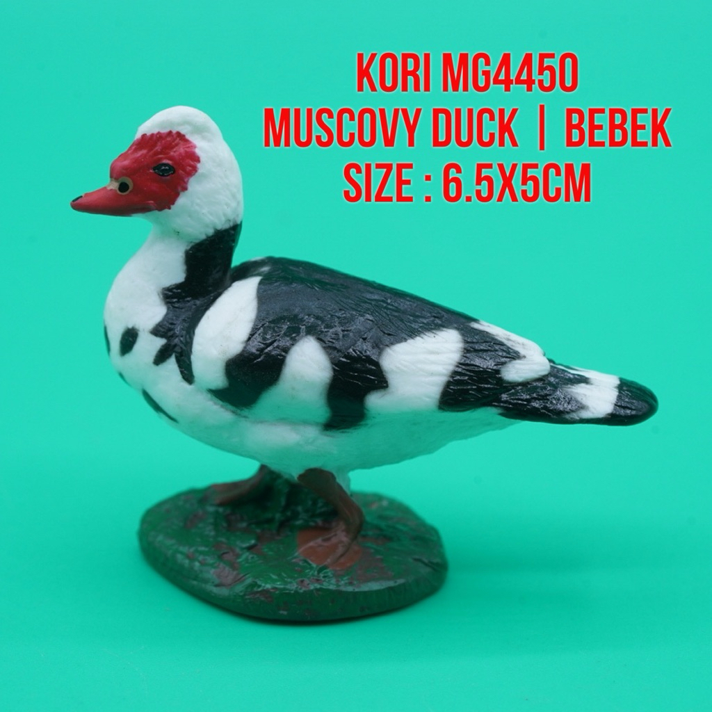KORI MG4450 Muscovy Duck Bebek Entok Itik Serati Bebek Manila Cairina Moschata | Mainan Figure Binat