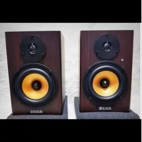 Speaker monitor DS5A