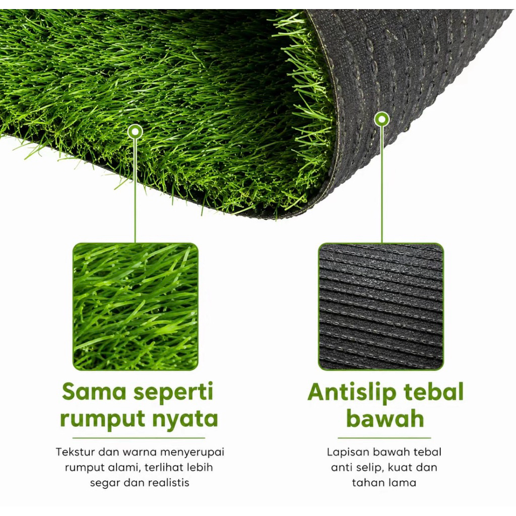 rumput swiss sintesis
