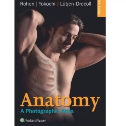buku YOKOCHI Anatomy : A Photographic Approach eight edition full color