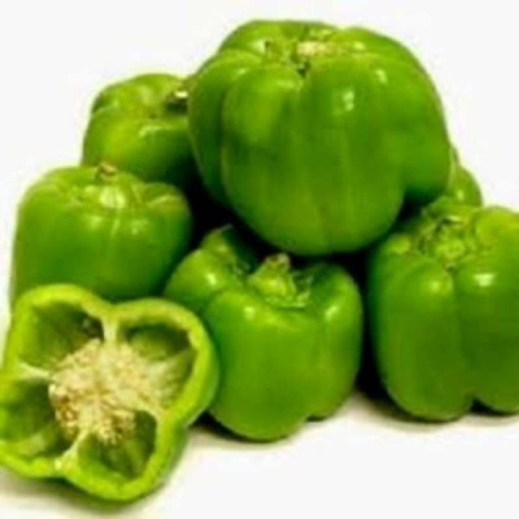 paprika hijau segar fresh 1kg