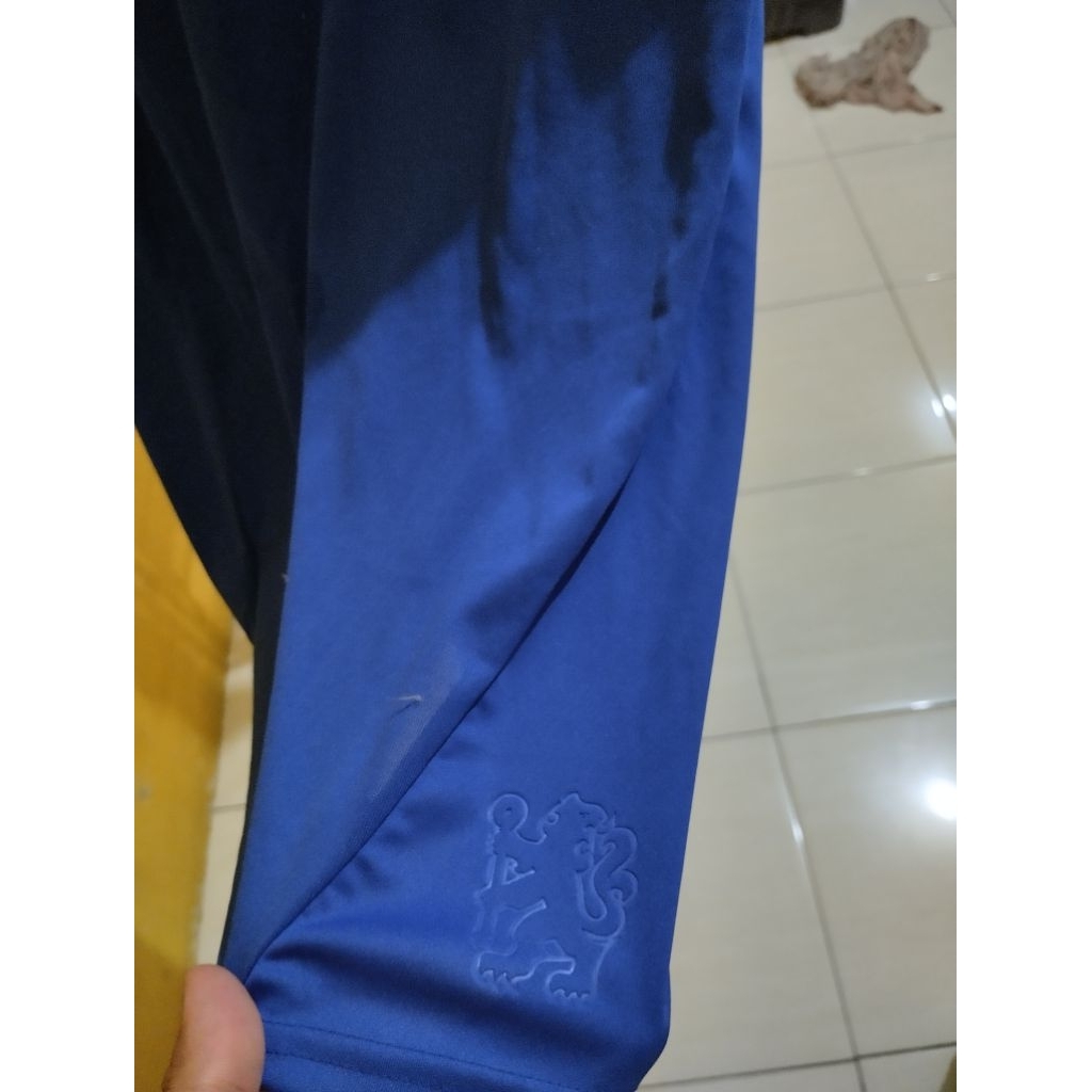 Chelsea Home 2010