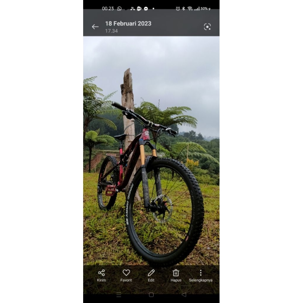 sepeda patrol 691 29"