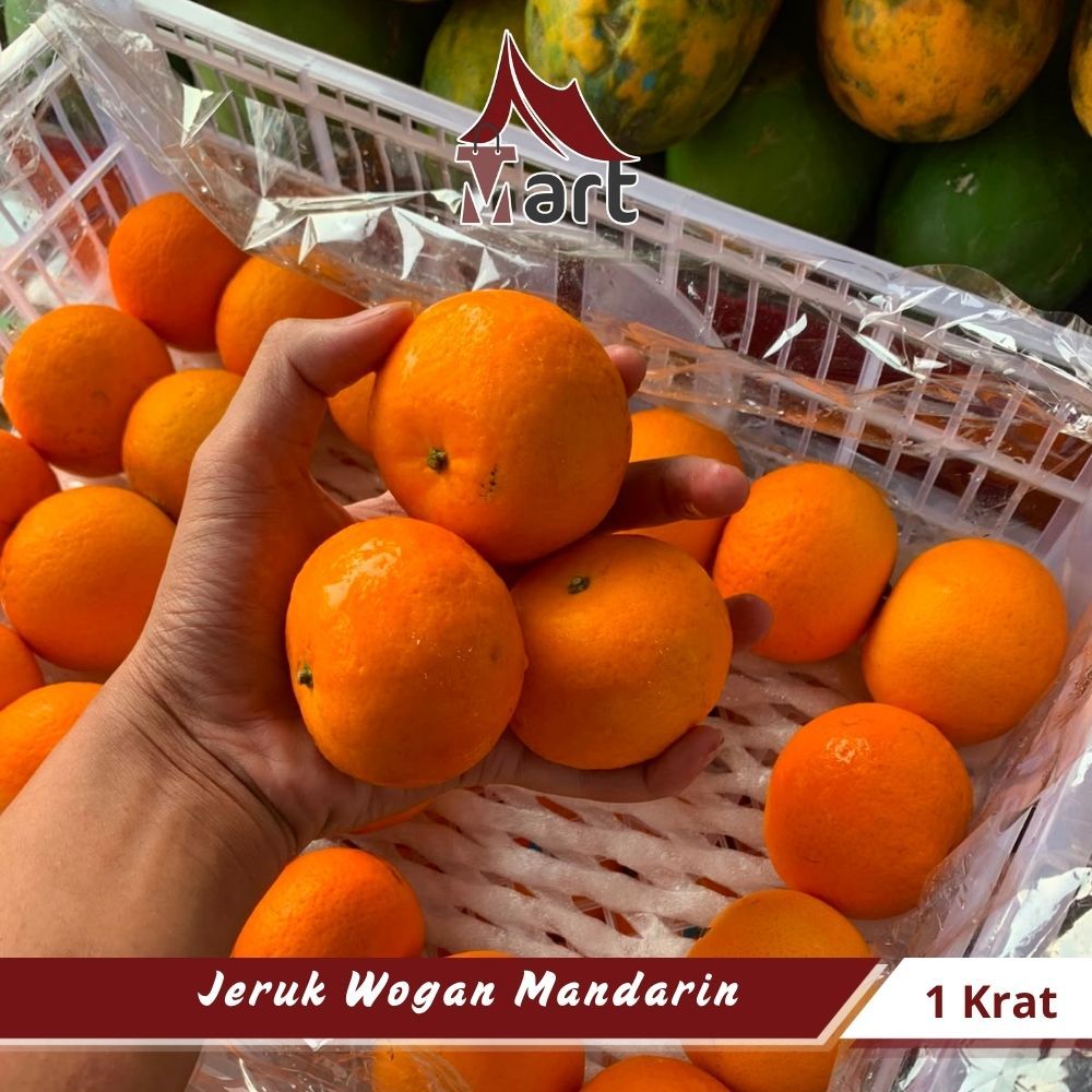 Buah Jeruk Wogan Mandarin 1 Krat Fresh Premium - Glagah Mart