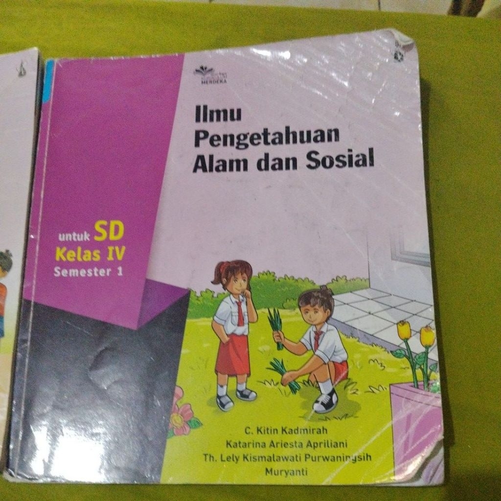 buku paket kanisius IPS kelas 4
