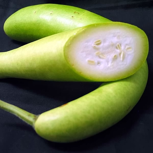 labu air separuh/setengah buah, labu putih, labu panjang segar