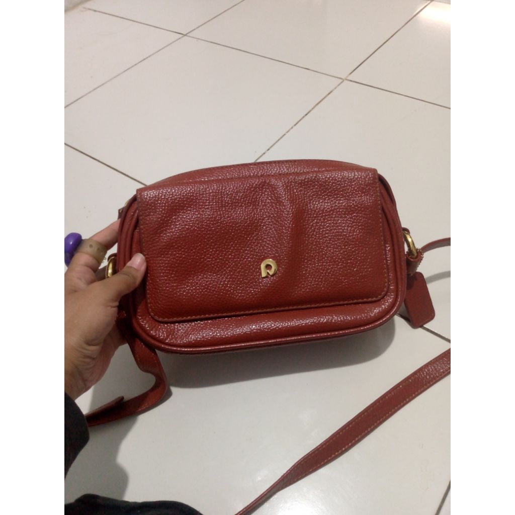 preloved papilon