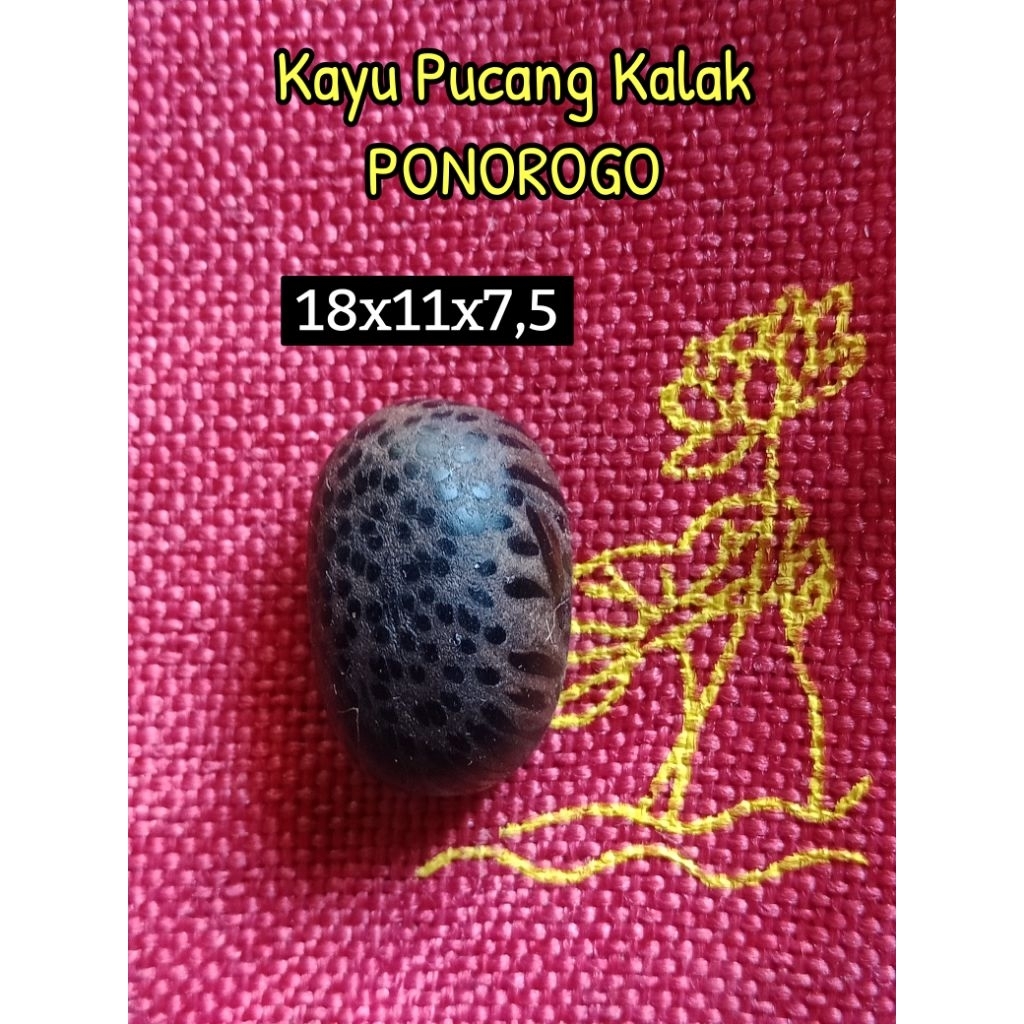 Mata Cincin Kayu PUCANG KALAK PONOROGO