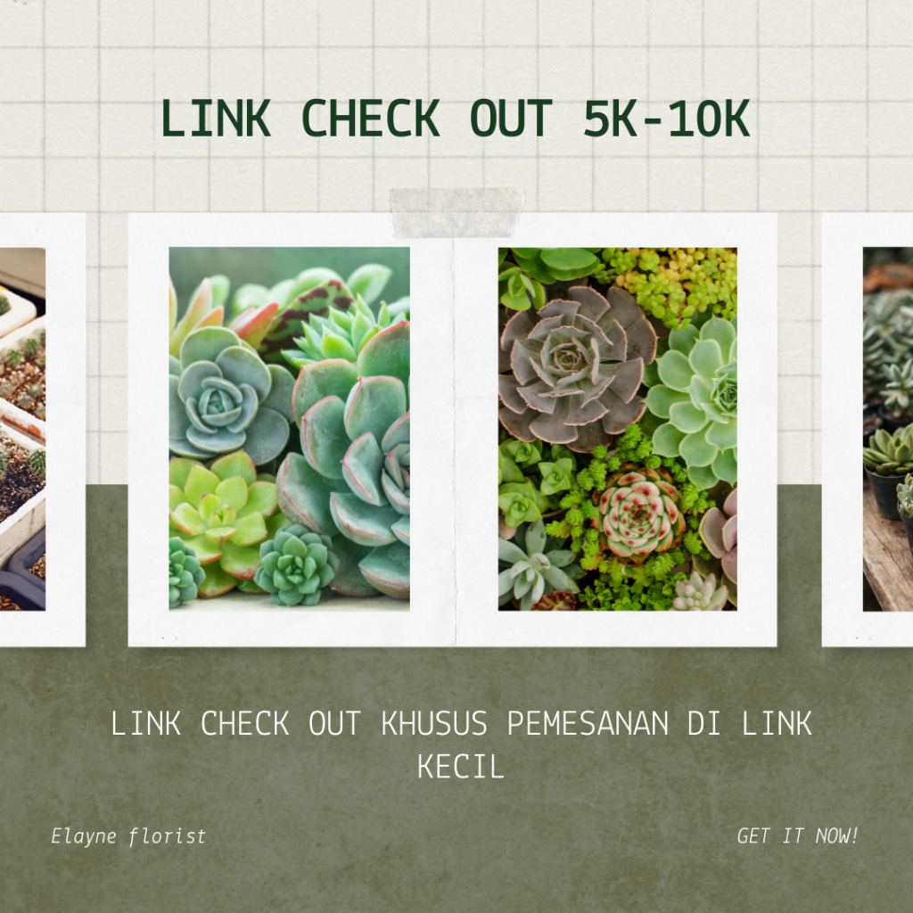 CHECK OUT LIVE 5K-10K / ELAYNE FLORIST