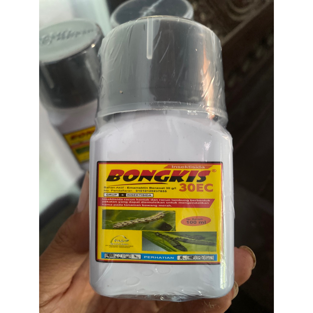 bongkis 30ec 100ml ASLI