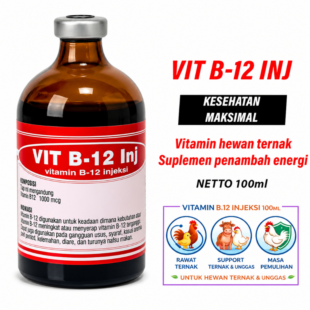 Vit B.12 Injeksi - Vit B.12 Ternak - Vit B.12 Untuk Menambah Energi