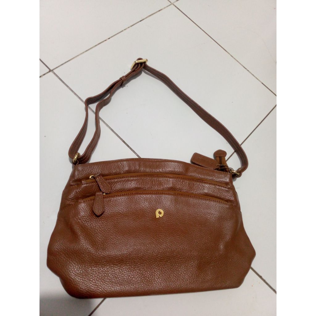 preloved papilon