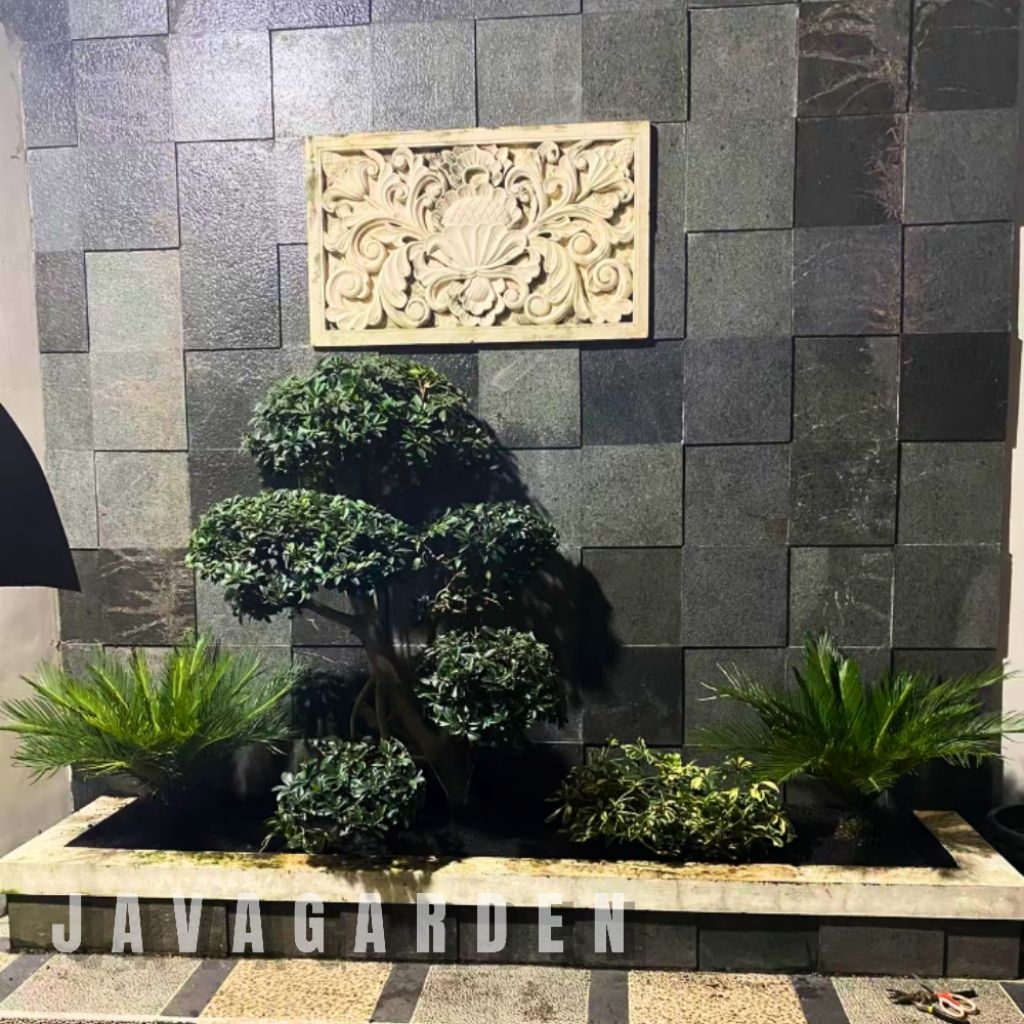 Taman Bonsai Elegend/Sikas