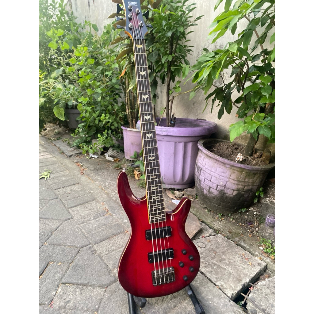 bass Schecter 5strings