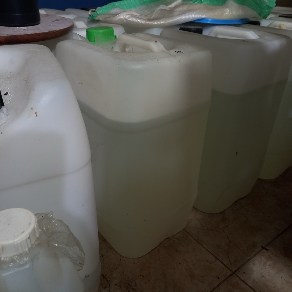 Bleaching Earth cair