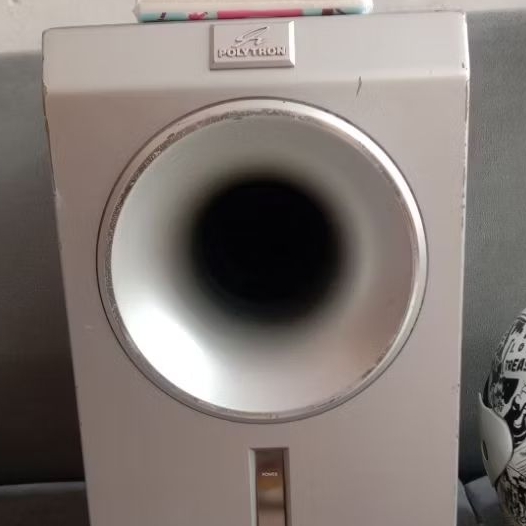 POLYTRON SUBWOOFER AKTIF