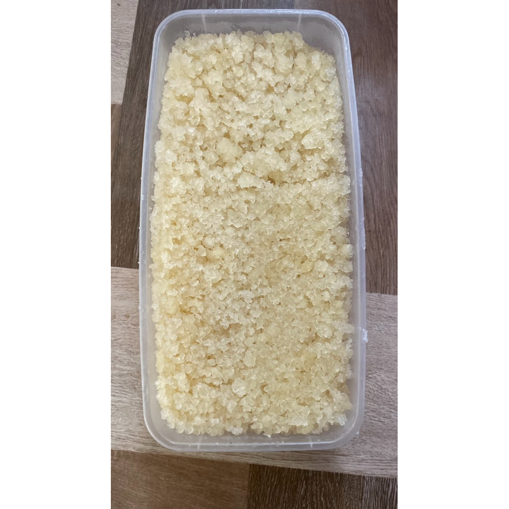 Bibit teratai salju bibit fermentasi teratai salju asli himalaya kualitas super herbal 500gr
