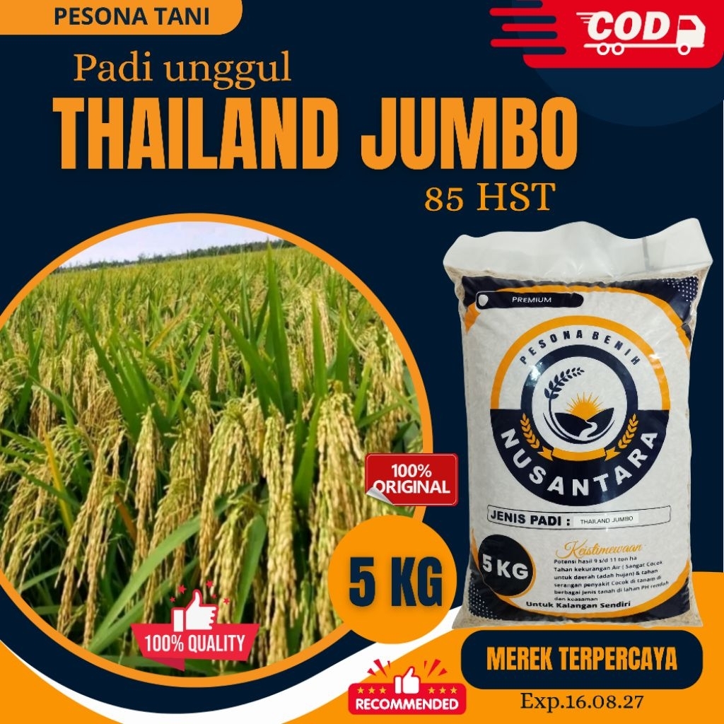 Padi berkualitas original THAILAND JUMBO kemasan 5kg